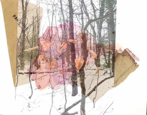 Norma Greenwood WORK ON PAPER 