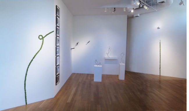 Page Kempner Installation Views 2011 