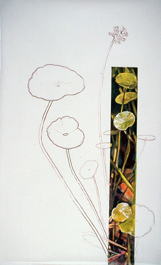 Page Kempner Drawings colored pencil on vellum