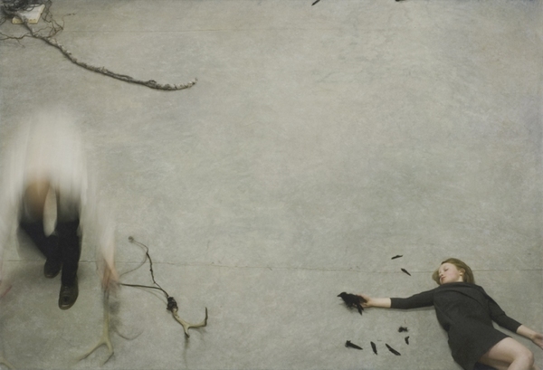 Robert and Shana ParkeHarrison  