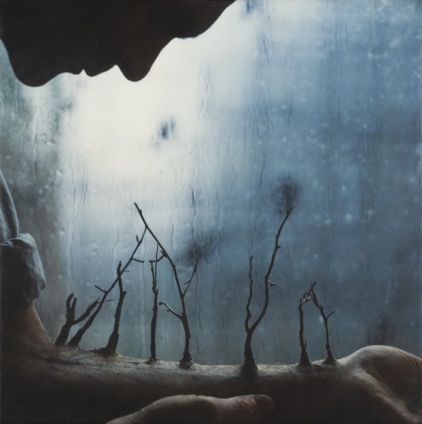 Robert and Shana ParkeHarrison Counterpoint 