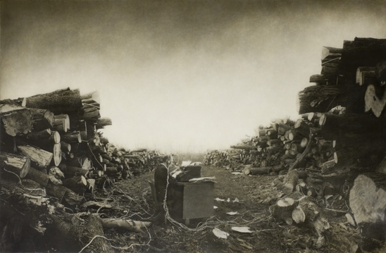 Robert and Shana ParkeHarrison Kingdom 