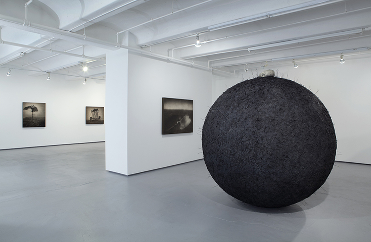 Robert and Shana ParkeHarrison Sculptures 