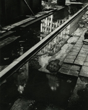 Perspective Group and Photography Gallery Mark Kaufman Gelatin Silver Print