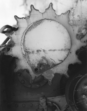 Perspective Group and Photography Gallery Mark Kaufman Gelatin Silver Print