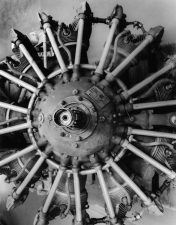 Perspective Group and Photography Gallery Mark Kaufman Gelatin Silver Print