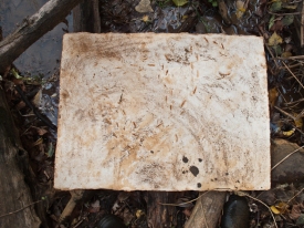 Peter L. Johnson Hazardous Alchemy Mississippi River Mud