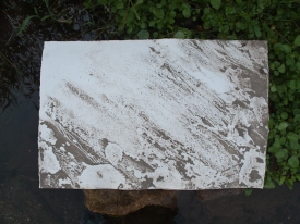 Peter L. Johnson The Antidote Paintings Stream Ecosystem on heavy fiber paper