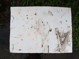 Peter L. Johnson The Antidote Paintings Stream Ecosystem on heavy fiber paper