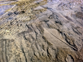 Peter L. Johnson Sedimental Journey Limited Edition Inkjet Print