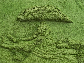 Peter L. Johnson Sedimental Journey Limited Edition Inkjet Print