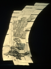 Philip Sugden, Artist Large Scale Studio Ink Drawings Sepia Ink on handmade Himalayan Daphne Paper