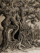 Philip Sugden, Artist Location Drawings Sepia Ink on Paper