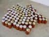  Other  (non-MOCS) Projects 100 jars of hand-canned tomatoes