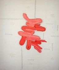 R.Potter Work 2010-2006 Dyed canvas with hand stitching and poly fill