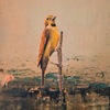  paintings oil on canvas