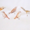  on paper watercolour on paper