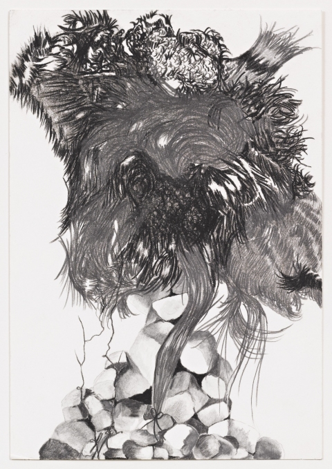 Hair to Stone Works on Paper graphite and charcoal on paper