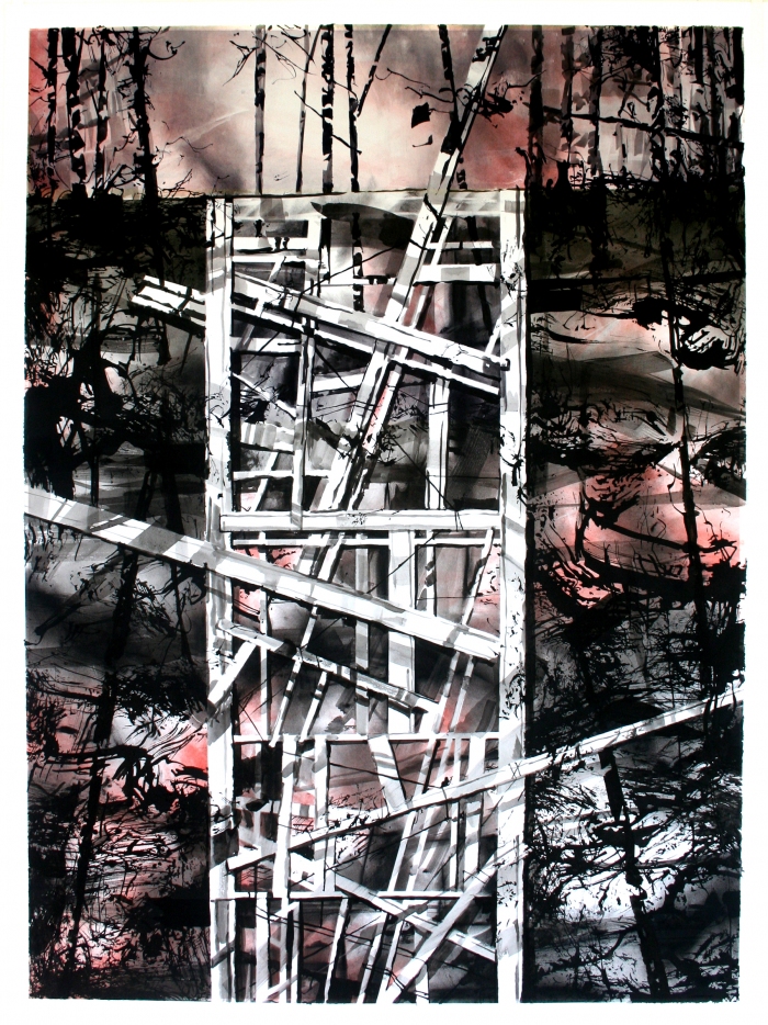 s c o t t   t u l a y drawings 2009 ink/pastel/charcoal