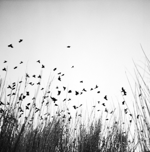 Adam Shemper  environment 