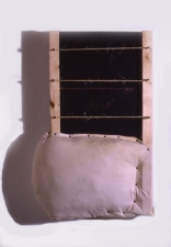 stan stroh Wall Pieces 