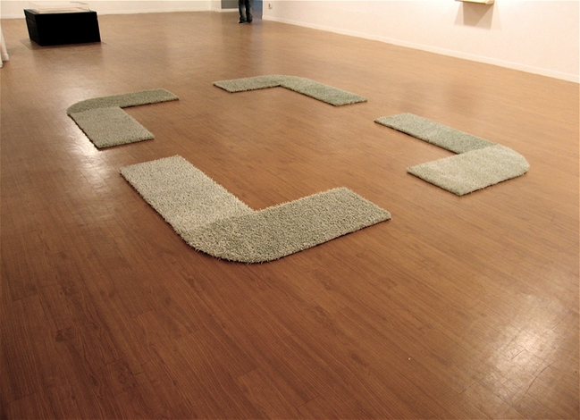 Sunghee  Pae Installation mixed media 