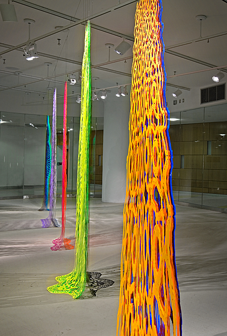Susanna Starr Installation 