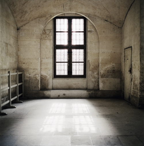 susi brister witness archival pigment print