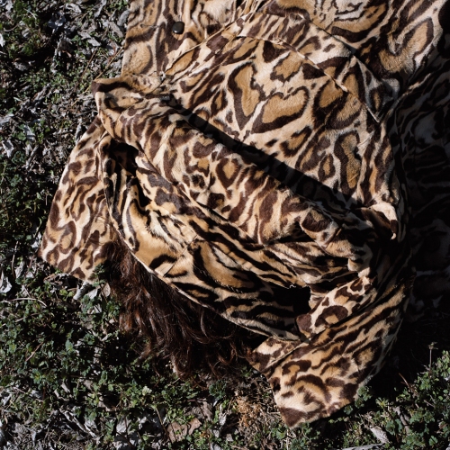 susi brister menagerie archival pigment print on hahnemuehle photo rag