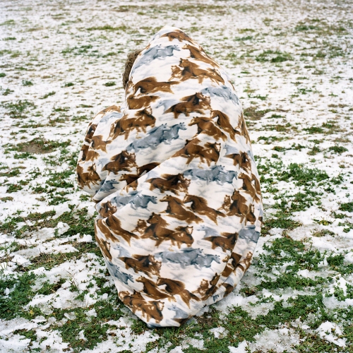 susi brister menagerie archival pigment print on hahnemuehle photo rag
