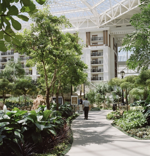 susi brister Gaylord Texan archival pigment print
