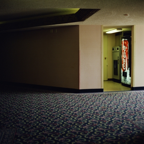 susi brister here now chromogenic print