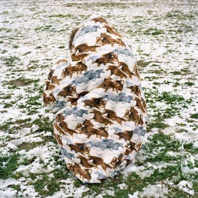 susi brister menagerie archival pigment print on hahnemuehle photo rag