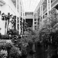 susi brister opryland archival pigment print