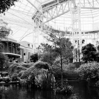 susi brister opryland archival pigment print
