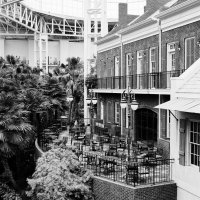susi brister opryland archival pigment print