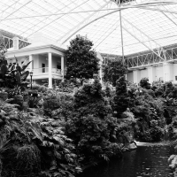 susi brister opryland archival pigment print
