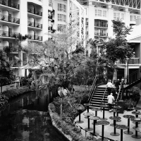 susi brister opryland archival pigment print