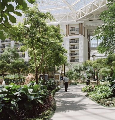 susi brister Gaylord Texan archival pigment print