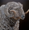  ANIMALS oil/linen