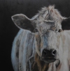  ANIMALS oil/linen