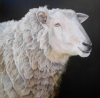  ANIMALS oil/linen