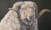  ANIMALS oil/linen