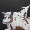  ANIMALS oil on linen