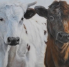  ANIMALS oil/linen