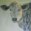 ANIMALS oil/linen