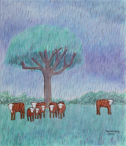Cows in the Rain