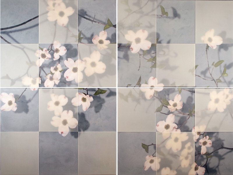 Four Panel Brewster Grey Dogwood florals Encaustic and collage on wood.