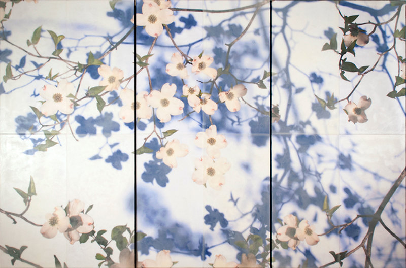 Big Blue Dogwood florals Encaustic and collage on wood.