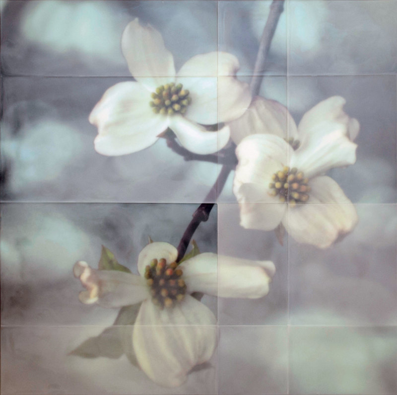Dogwood Blossoms florals Encaustic and collage on wood.